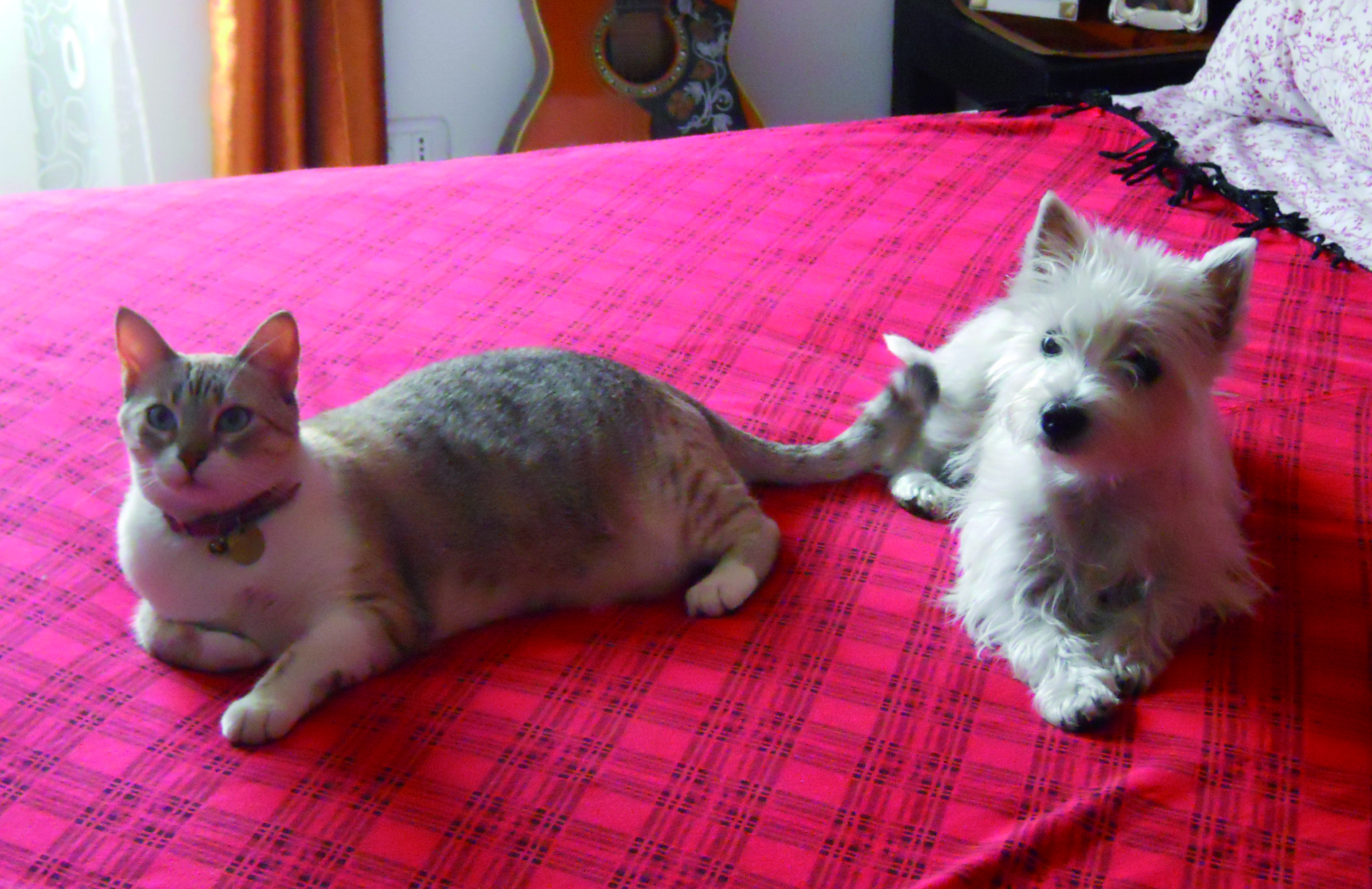 BEA E KELLY - 31/03/2012